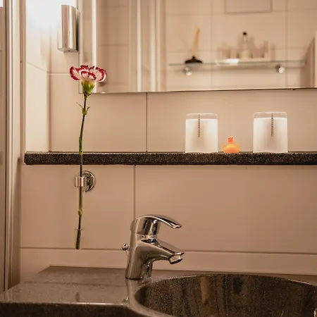 レジデンツ 4* パッサウ